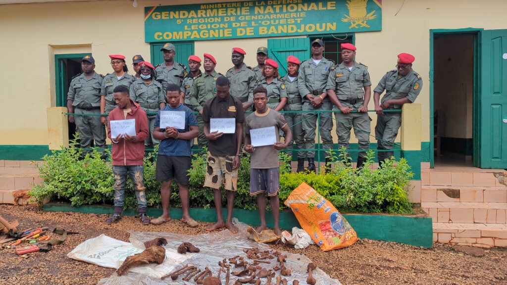 PXL_20250930_083255019-1024x576 Bandjoun: 4 jeunes interpellés avec près de deux squelettes humains